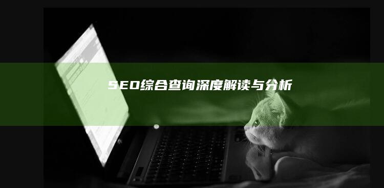 SEO综合查询：深度解读与分析